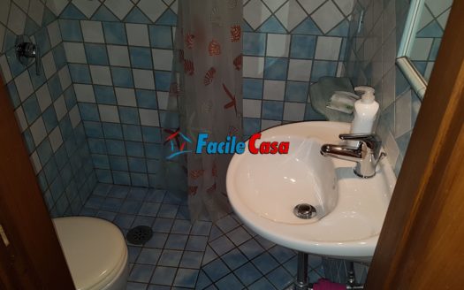 CARATTERISTICO TERRATETTO