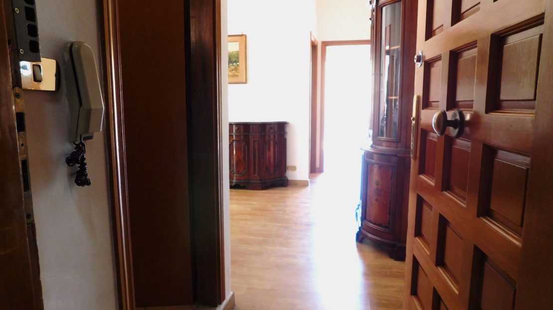 video image