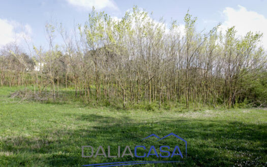 RUSTICO IN VENDITA SANTI COSMA E DAMIANO
