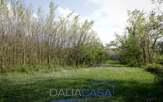 RUSTICO IN VENDITA SANTI COSMA E DAMIANO