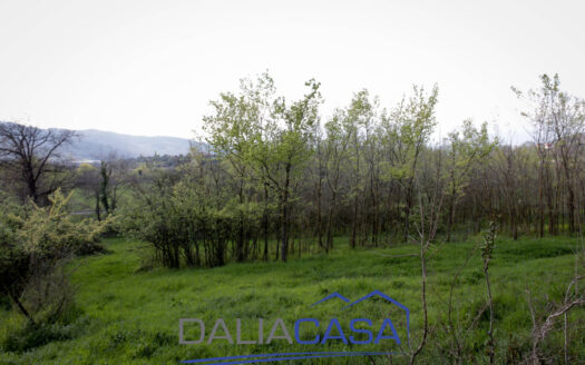 RUSTICO IN VENDITA SANTI COSMA E DAMIANO