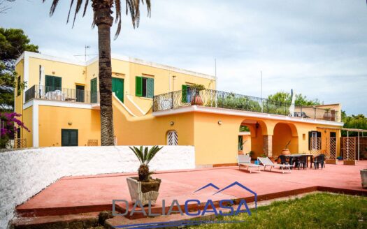 VILLA IN VENDITA VENTOTENE