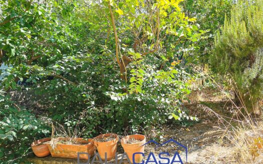 CASA SINGOLA IN VENDITA CASTELFORTE