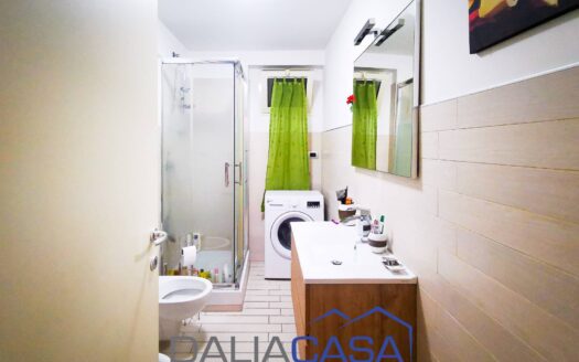 VILLA IN VENDITA PENITRO