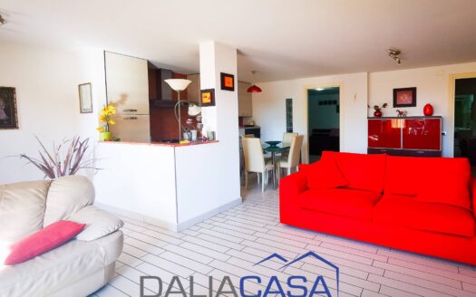 VILLA IN VENDITA PENITRO