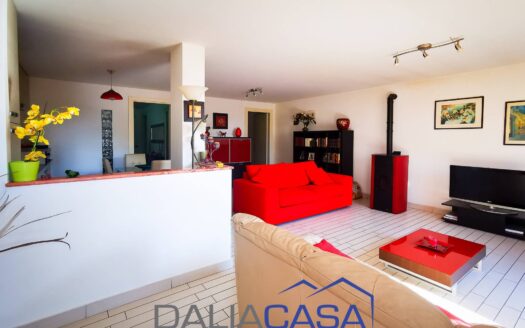 VILLA IN VENDITA PENITRO