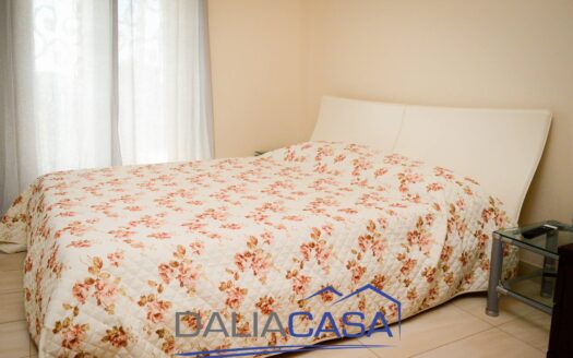 VILLA IN VENDITA PENITRO