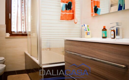 VILLA IN VENDITA PENITRO