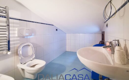 VILLA IN VENDITA PENITRO