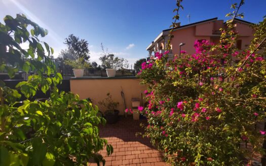 VILLA IN VENDITA PENITRO