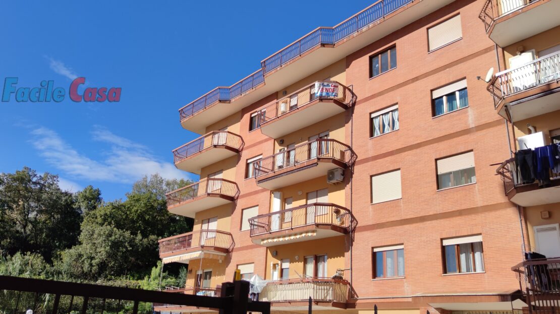video image