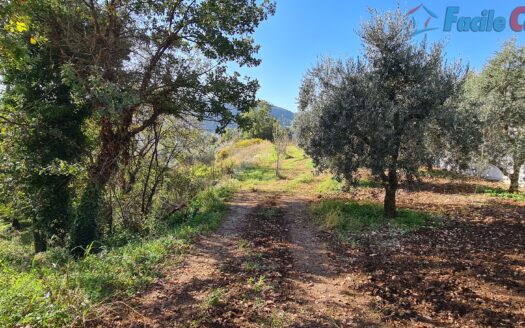 TERRENO EDIFICABILE CON PROGETTO APPROVATO