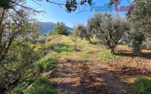 TERRENO EDIFICABILE CON PROGETTO APPROVATO