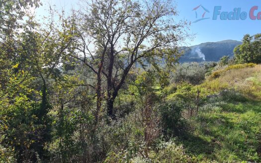 TERRENO EDIFICABILE CON PROGETTO APPROVATO