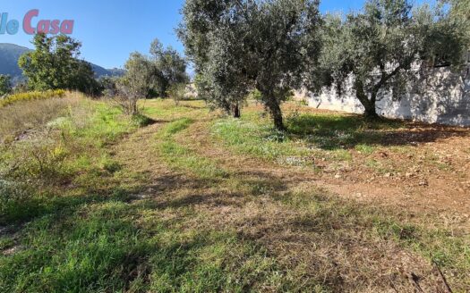 TERRENO EDIFICABILE CON PROGETTO APPROVATO