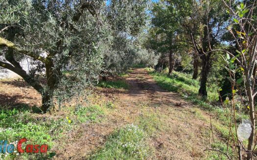 TERRENO EDIFICABILE CON PROGETTO APPROVATO