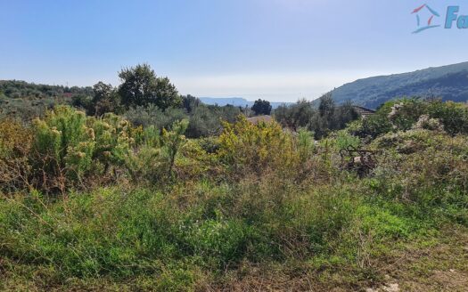 TERRENO EDIFICABILE CON PROGETTO APPROVATO