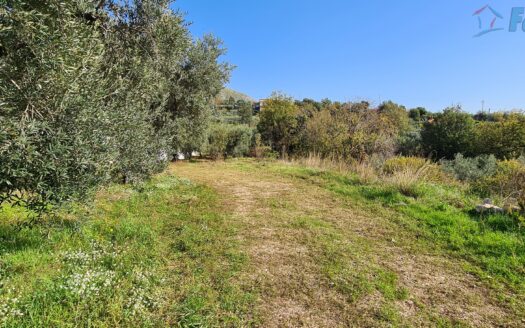 TERRENO EDIFICABILE CON PROGETTO APPROVATO