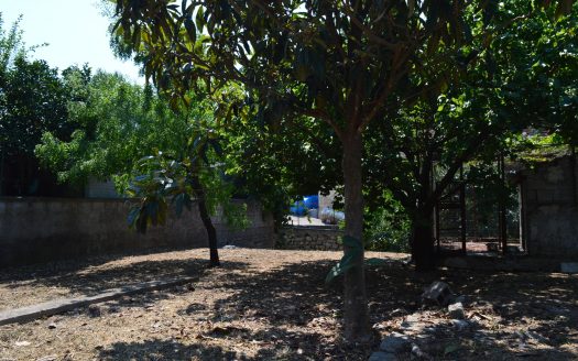 APPARTAMENTO CON INGRESSO INDIPENDENTE E GIARDINO
