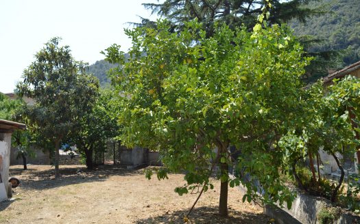 APPARTAMENTO CON INGRESSO INDIPENDENTE E GIARDINO