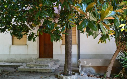 APPARTAMENTO CON INGRESSO INDIPENDENTE E GIARDINO
