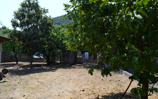 APPARTAMENTO CON INGRESSO INDIPENDENTE E GIARDINO